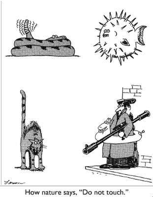 Far Side.png